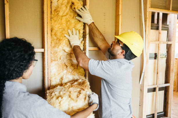 Best Commercial Insulation Services  in Shell Valley, ND