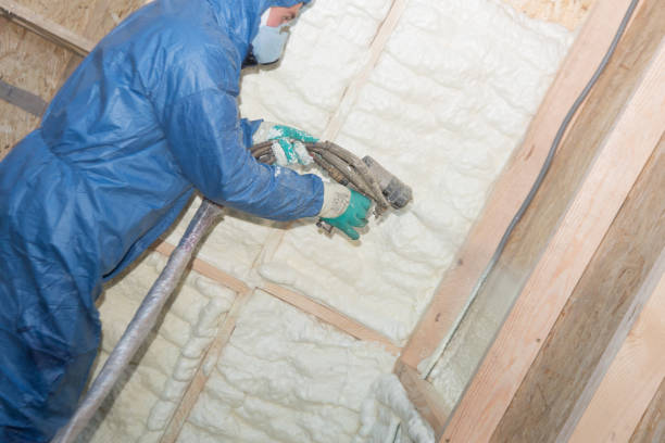 Best Eco-Friendly or Green Insulation Solutions  in Shell Valley, ND